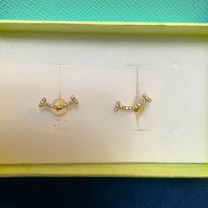 Tiffany Inspired earrings